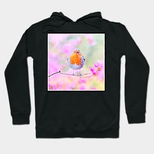 Spring Bird on Branch Hoodie